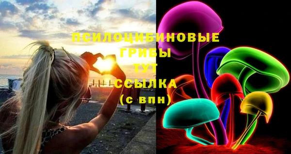 эйфоретик Заволжье