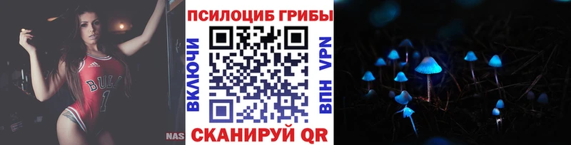 Купить где  Дубна  Псилоцибиновые грибы MAGIC MUSHROOMS 