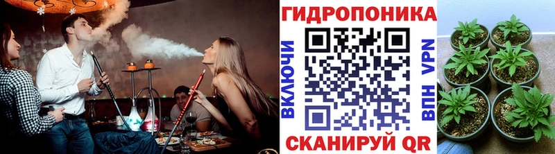 Купить где  Дубна  Канабис семена 